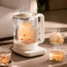 Заварювальний чайник Xiaomi Mi Family Multi functional Health Pot S2